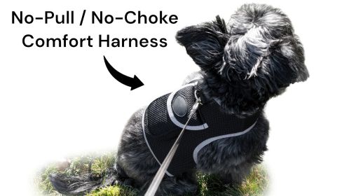 Mini Waterproof GPS Collar for Dogs Wireless Realtime Tracking Device Size:S