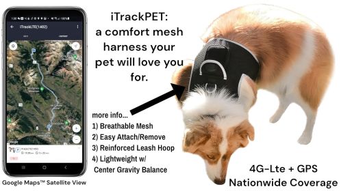Portable iPhone Pet Tracker Waterproof GPS GSM Locator with Mobile App Size:L